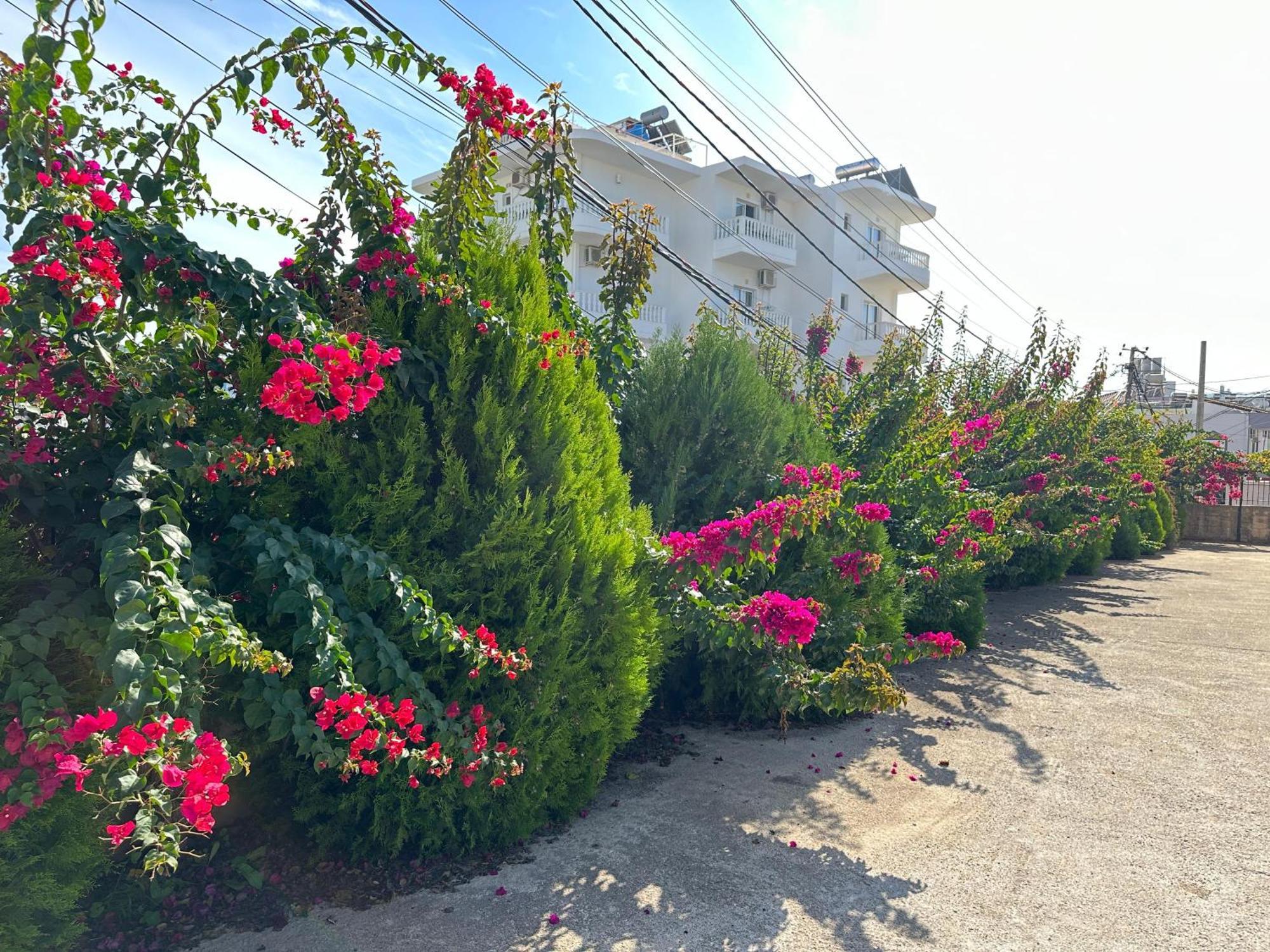 Villa Nicolaos 사밀 외부 사진